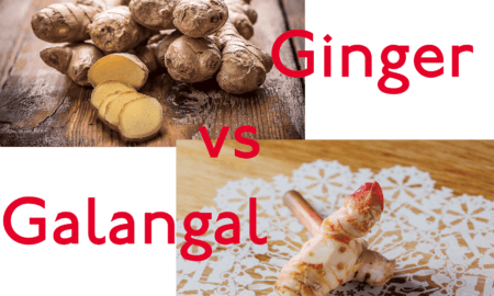The difference between galangal and ginger The difference between galangal and ginger