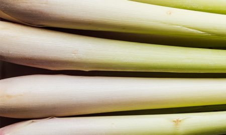 Lemongrass, what’s that? Lemongrass, what’s that?