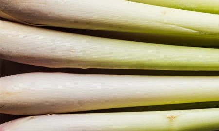 Lemongrass, what’s that? Lemongrass, what’s that?