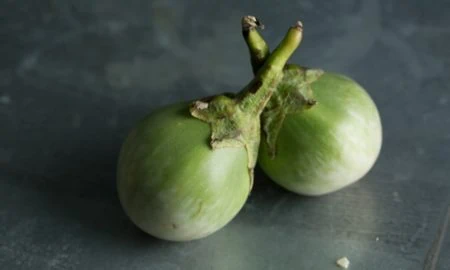 All about aubergines All about aubergines