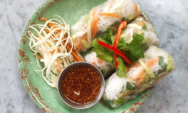 Rosa's Homemade Spring Rolls served on a pale green plate with coleslaw and dipping sauce