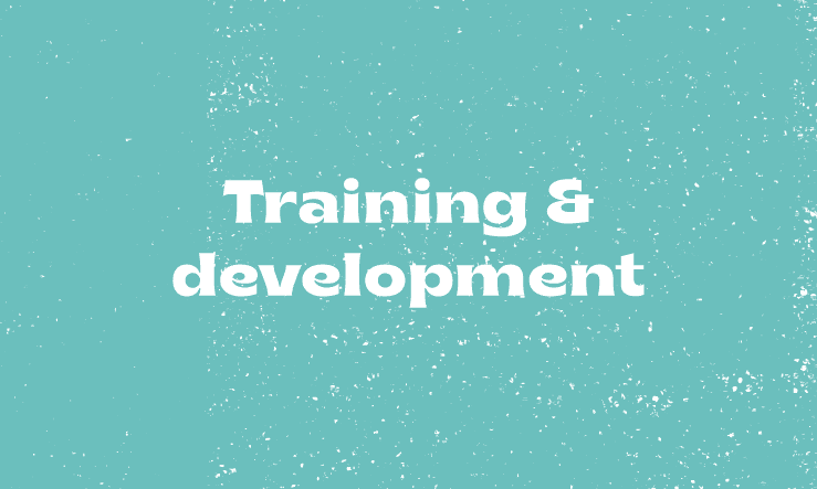 Training and development title